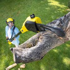 Best Firewood Processing and Delivery  in North Babylon, NY